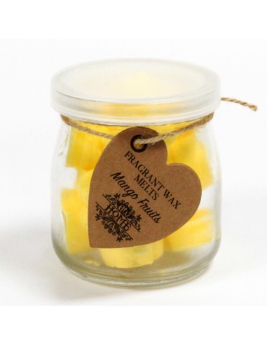 Wax Melts - Mango Fruits