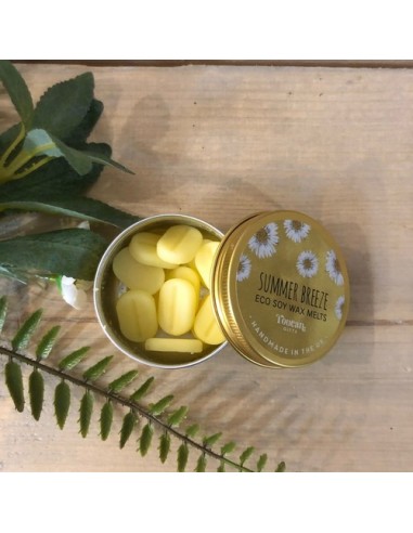 Eco Soja Wax Melts - Summer Breeze