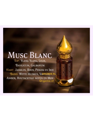 Musc Blanc Parfumolie Prestige - El-Nabil