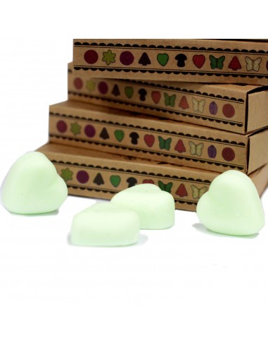 Wax Melts - Watermeloen