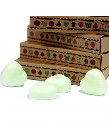 Wax Melts - Watermeloen