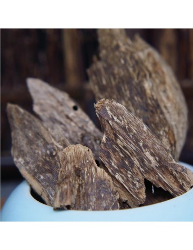 Oudh - Agarwood Nha Trang 10 gram