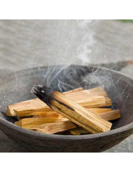 Palo Santo 25 gram