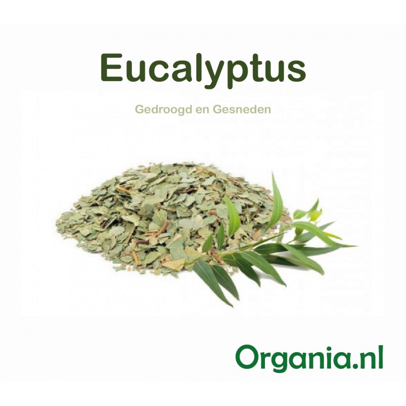 Gedroogde Eucalyptusblad